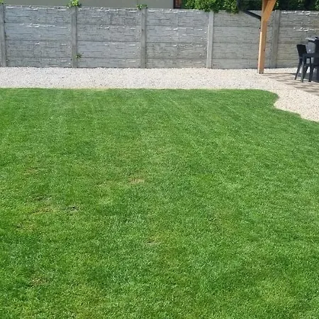 Alexej * Veľký Meder